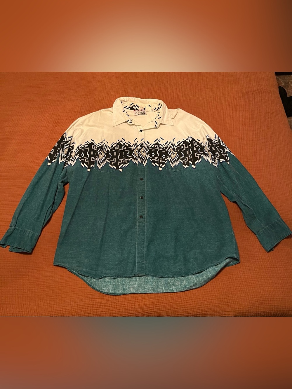 Men's Teal and Cream Patterned Button-Down Shirt